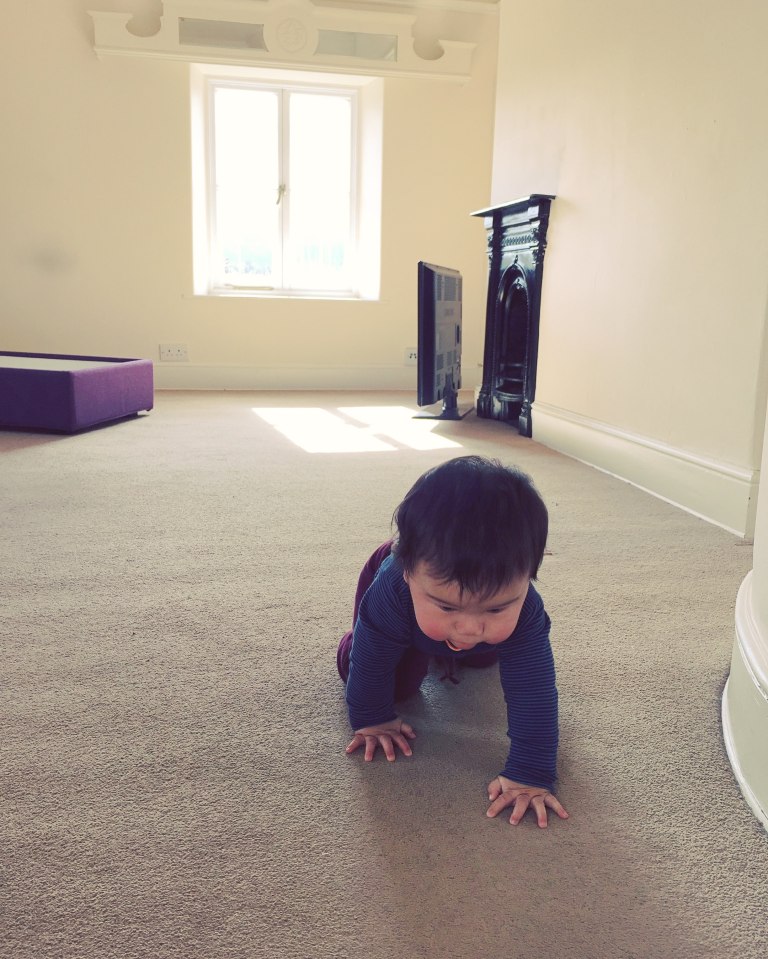 crawling-through-and-empty-living-room_25500659283_o